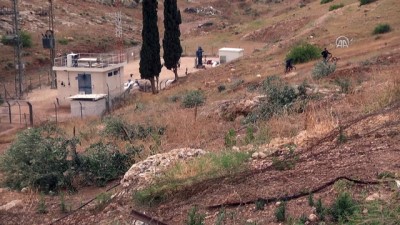 İsrail, Filistinlilerin zeytin ağaçlarını kesti