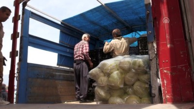 yasam mucadelesi - Hatay esnafından Suriyelilere yardım - HATAY Videosu