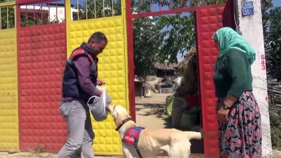 helikopter - Aydın'da kayıp kişiyi arama çalışmaları  Videosu