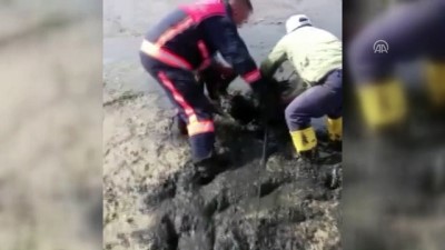 baraj golu - Baraj gölünde çamura saplanan kişiyi itfaiye kurtardı - MALATYA  Videosu