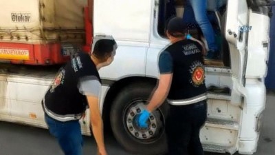 gumruk muhafaza ekipleri -  Haydarpaşa Ro-Ro limanında çuvallar dolusu tilki kürkü ele geçirildi Videosu