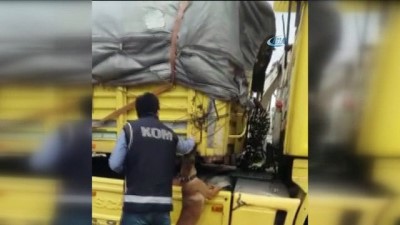 bulduk -  Kurumuş yaprak arası kaçak sigaraya 'Tiryaki' izin vermedi  Videosu