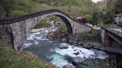 yabanci turist - Tarihi 'Çifte Köprüler' turistlerin ilgisini çekiyor - ARTVİN  Videosu