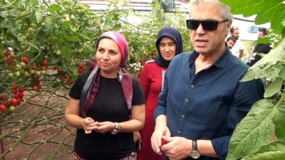  Sanatçı Cengiz Kurtoğlu festivalde seraları gezip ürünlerin tadına baktı