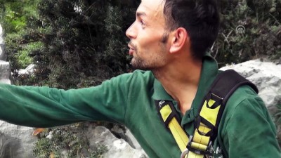 kanyon - Keçiyi kurtarmak isterken mahsur kaldı -Drone görüntüleri - MUĞLA  Videosu