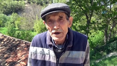 dere yatagi -  Ceviz üreticisini don vurdu  Videosu