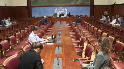 sivil toplum kurulusu - 'Duma'da müzakereler devam ediyor' - CENEVRE Videosu