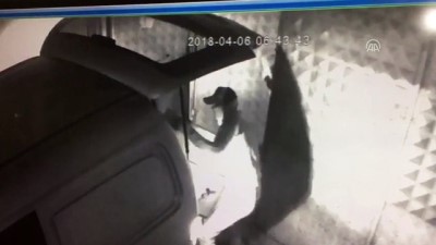 Depodan hırsızlık anı güvenlik kamerasına yansıdı - İSTANBUL