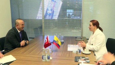 Dışişleri Bakanı Çavuşoğlu, Ekvatorlu mevkidaşıyla görüştü - BAKÜ