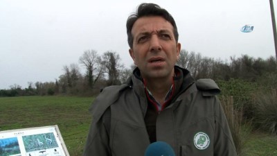 ziyaretciler -  Nesli tükenmekte olan turnalar bakanlığın takibinde  Videosu