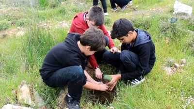  3 yıl önce yanan ormanlık alana öğrencilerden 120 fidan 