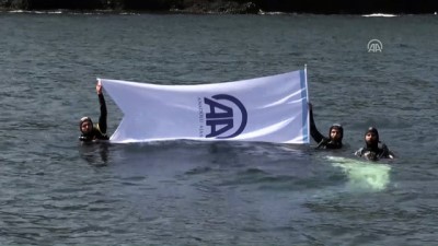 eziler - AA'ya Karadeniz'de kutlama - SİNOP Videosu