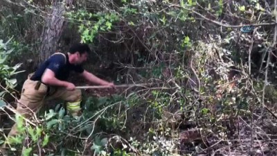 helikopter -  Aydos Ormanı'nda çıkan yangına böyle müdahale ettiler  Videosu