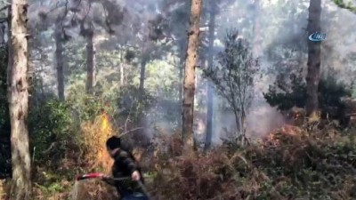  Aydos Ormanı'nda yangın 