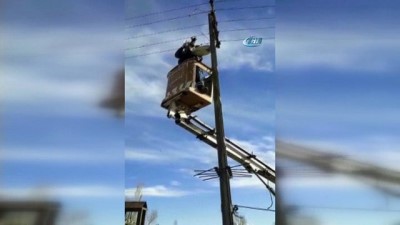 elektrik teli -  Elektrik teline takılan kargayı ekipler kurtardı  Videosu