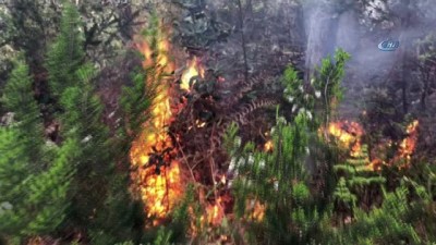  İstanbul Orman Bölge Müdürlüğünden Aydos Ormanları'nda çıkan yangın hakkında açıklama