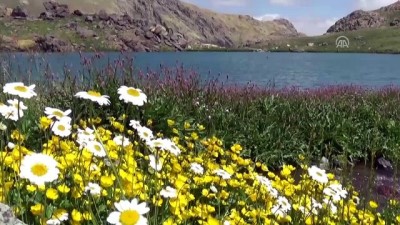 yabanci turist - Terörden temizlenen Sat Buzul Gölleri'nde festival yapılacak - VAN  Videosu