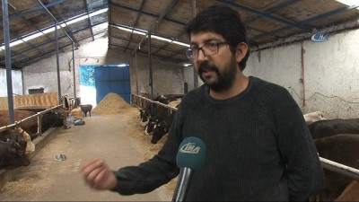 sut uretimi -  Mermer tozunun faydaları saymakla bitmiyor  Videosu