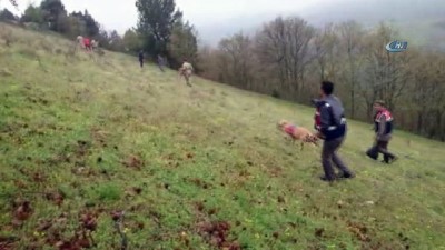  Köpek keçileri ahıra geri getirince çobanın öldüğü ortaya çıktı 