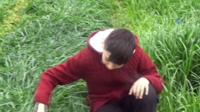 hayvancilik -  Mera sıkıntısı hayvancıyı zora sokuyor  Videosu