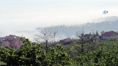 ucak seferleri -  Trabzon’da hava ulaşımına sis engeli  Videosu