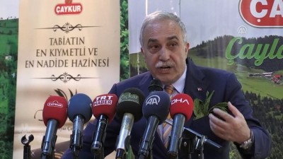 cay bahcesi - Fakıbaba: 'Sözleşmeli aile işletmeciliği olayına mutlaka geçmemiz lazım' - RİZE Videosu