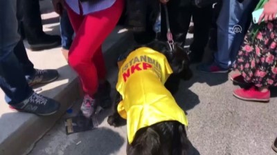 miting alani - İstanbul'da 1 Mayıs - Gruplar Maltepe Sahil Etkinlik Alanı'na girmeye başladı - İSTANBUL Videosu