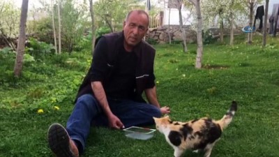 emekli ogretmen -  Kapı açmasıyla dikkat çekmişti, o kedi kayboldu Videosu