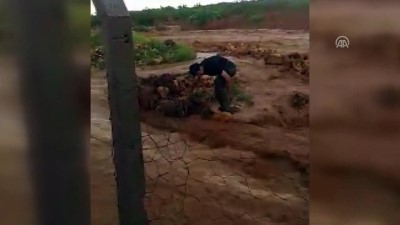 mahsur kaldi - Yağışı görüntülerken sele kapıldı - ŞANLIURFA Videosu