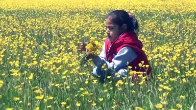 Yüksekova'da ilkbahar - HAKKARİ