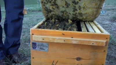 katki payi -  Başkentli çiftçiler arı kovanlarına kavuşuyor  Videosu