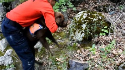 dalgic polis -  Kaza sonrası Kelkit Çayı'nda kaybolan muhtarı kadavra köpeği arıyor  Videosu