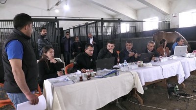 yaris - Şampiyon adayı taylar görücüye çıkacak - ESKİŞEHİR Videosu