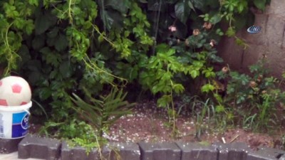 cakal -  Akçakale'ye Mayıs ayında dolu şoku  Videosu