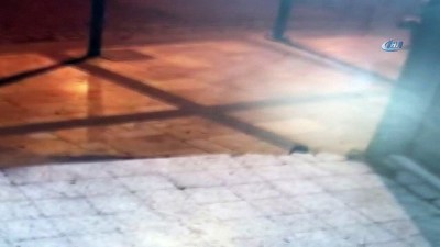 madde bagimlisi -  Köpeği öldürüp, tecavüz ettiği iddia edilen şahıs kamerada  Videosu