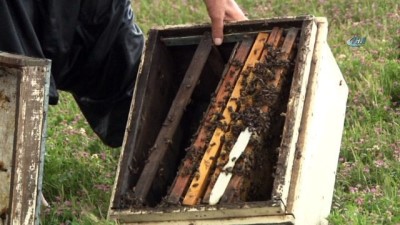 mahsur kaldi -  Sular çekilince zarar ortaya çıktı  Videosu