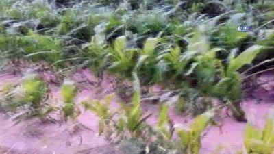 siddetli yagis -  Adana’da şiddetli yağış çiftçiyi vurdu Videosu