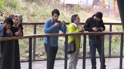 arkeoloji - Göbeklitepe Japon şairlere 'ilham kaynağı' oldu  Videosu