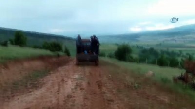 yildirim dustu -  Kahramanmaraş’ta yıldırım isabet eden çoban hayatını kaybetti Videosu