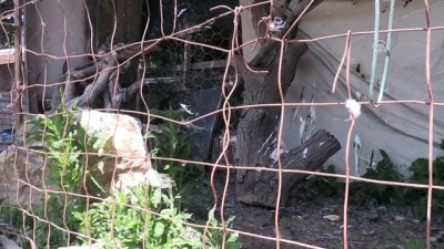 gurbetci - 'Uçamayan şahin'e kol kanat gerdi - YALOVA  Videosu