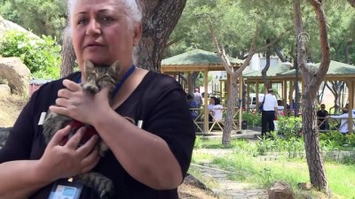 hastane bahcesi - İzmir'in kedisever hemşiresi  Videosu