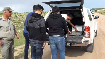yaban domuzlari -  Konya'da üniversiteli öğrenciler dağda 'akbaba sofrası' kuruldu Videosu