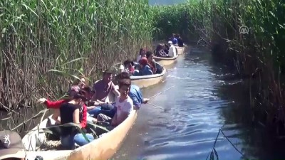 gocmen kus - Eber Gölü doğa tutkunlarını ağırlıyor - AFYONKARAHİSAR  Videosu