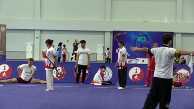 bronz madalya - 17. Avrupa Wushu Şampiyonası - MOSKOVA Videosu