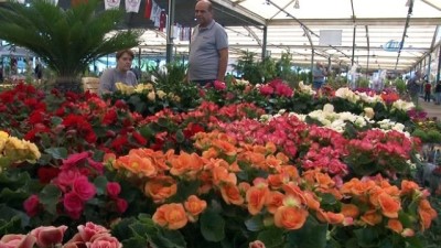 yaris -  Karşıyaka çiçek açtı  Videosu