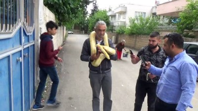 timsah -  4 metre uzunluğundaki pitonu çocuğu gibi seviyor  Videosu