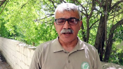 Ağrı Dağı'nın küçük sakinleri - IĞDIR 