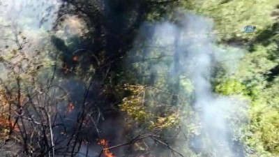 icmeler -  Marmaris’te çıkan orman yangını afacan işi çıktı  Videosu