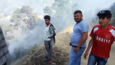 ormana -  Anızdan çıkan yangında 200 hektar alan kül oldu Videosu
