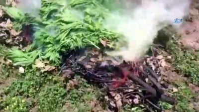 amonyum nitrat -  Diyarbakır kırsalında düzenlenen operasyonda 1 ton esrar ele geçirildi  Videosu